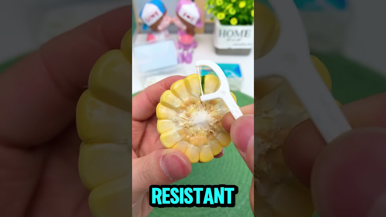 Product Link in Bio (