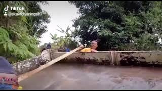 bojoku Pance Ra ganteng,, Ireng geseng kileng2 😂