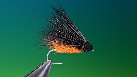 Fly Tying an October Caddis/Sedge with Barry Ord Clarke