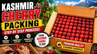 Inside Kashmir Cherry Packing Process 🍒😋