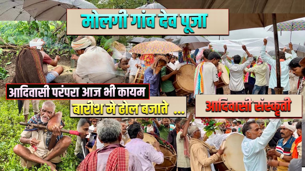 आदिवासी संस्कृती … मोलगी गांव देव पूजा और बारिश मे भी ढोल बजाते हूए | Shirish Vasave Official 