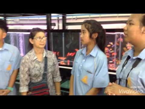 การศึกษาพันธุ์ปลาและการเลี้ยงดูปลา