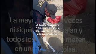 El Levantamiento De Los Restos Humanos.