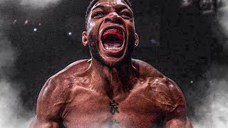 The Most BRUTAL Welterweight Knockout Artist Ever | Paul Daley MMA Knockouts & Highlights