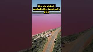 3 Crazy Facts You Didn't Know 😲 #shorts