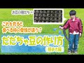 だだちゃ豆作りが始まりました！～種まき～