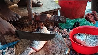 🔴Live🔴Uzzal Fish Cutting #asmr #2ufc#fish#vairal #trend