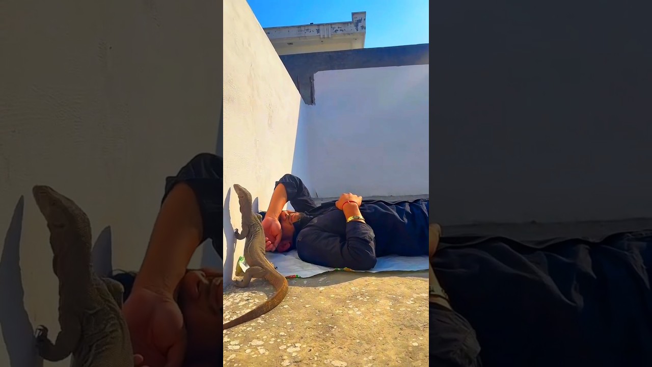 Latest Title & Thumbnail