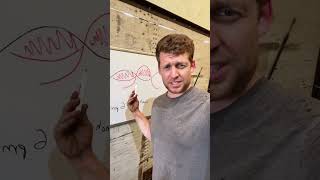 Optimizing Solar Power: The East-West Orientation Advantage