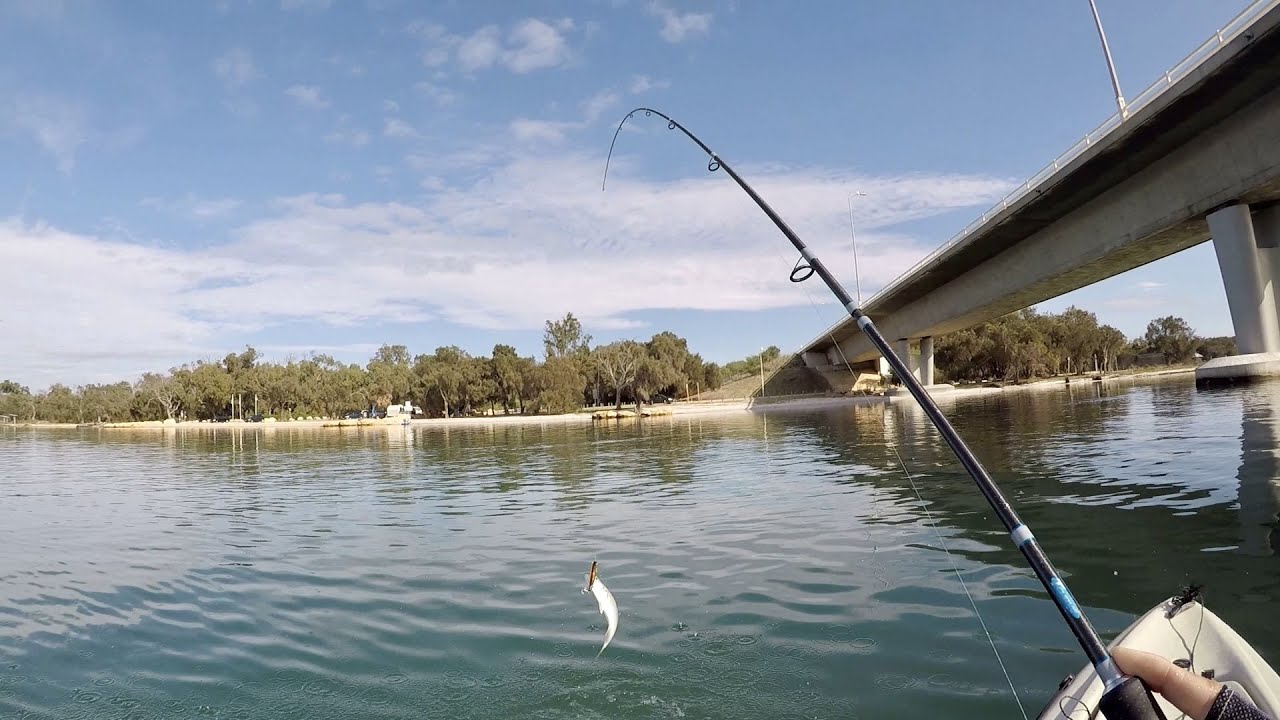 Kayak lure fishing in Mandurah estuary YouTube