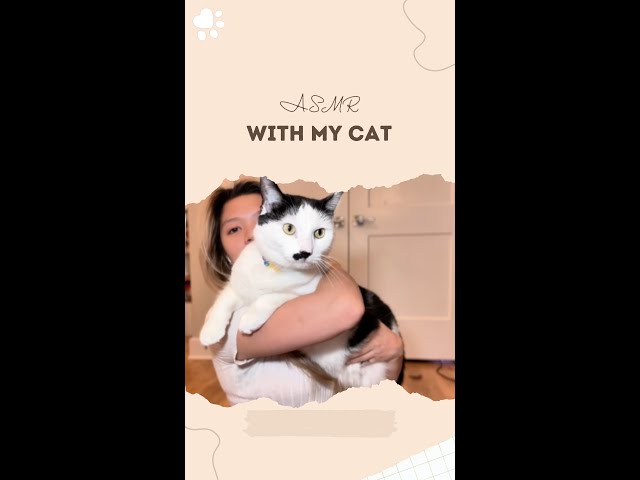 ASMR Phone Tapping with my cat