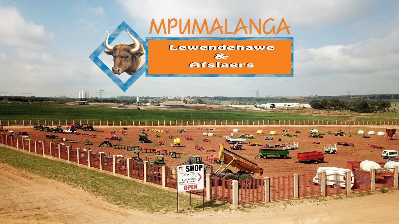 MPLH Balmoral Site Promo