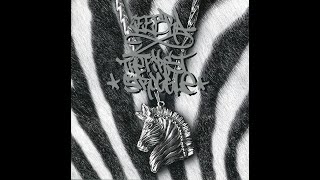 Parteechecka -Bright Right Mix- Zeebraofficial Music Video