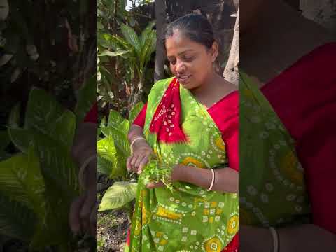 Kitchen garden