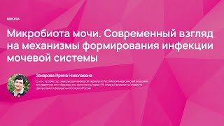 Микробиота мочи. Современный взгляд на механизмы формирования инфекции мочевой системы