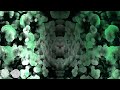 Vini Vici - Alteza (Phaxe Remix) [Visuals: Hackstage]