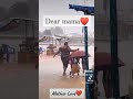 Longue Vie à Nos Mamans 