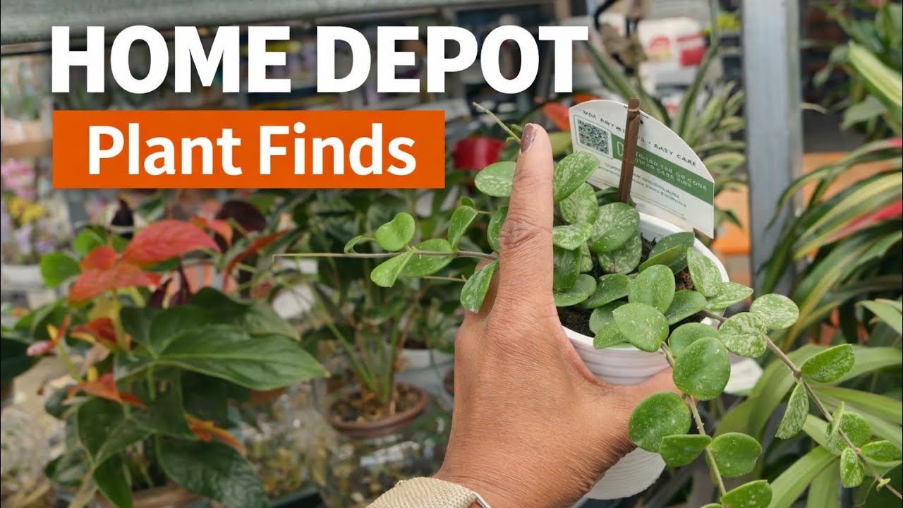 Еще одна поездка в Home Depot