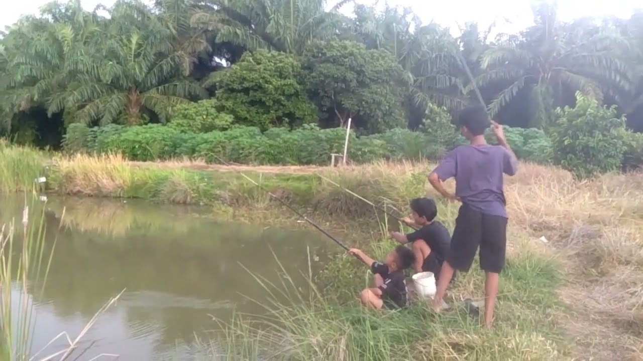 Bocil Mancing Keroyokan I Dapat Nila Kecil-Kecil I Ya Heppy Aje