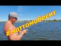 Моттомобесит :^)