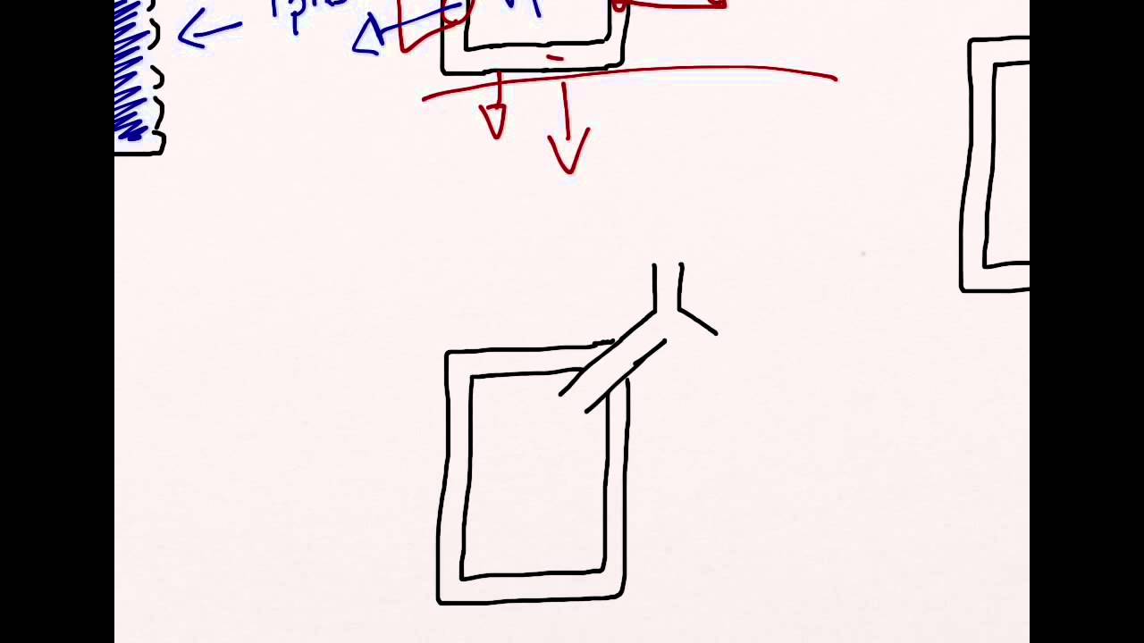Boyle's Law