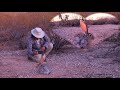 The desert whisperer at work filming a baby antelope jackrabbit