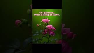 Gül Kokusu…? 🤔🤔🤔