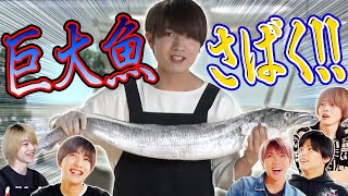 7 MEN 侍【巨大魚を三枚おろし】市場で買い付け…魚をさばく！