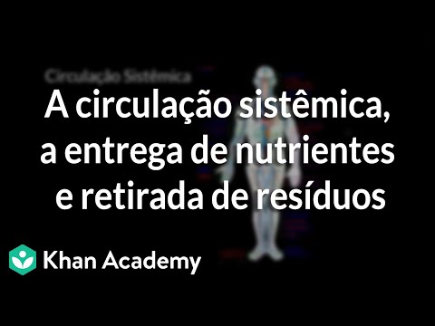 Vídeo: Durante a digestão o sangue coleta nutrientes?