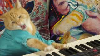 Keyboard Cat Rocks On!