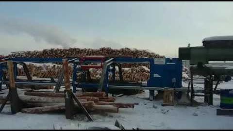 Sawmill Carmac Log Sorting Line 60 box