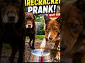You need to see this #funny #trending#viral