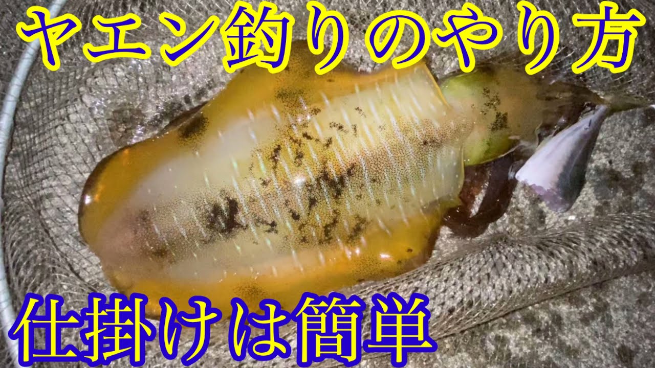 ヤエン釣り 仕掛けは簡単でスナップとジグヘッド Youtube ヤエン釣り 仕掛けは簡単でスナップとジグヘッド Youtube