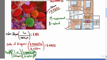 Mr Joyce - Foundations of Math 11 - Scale Diagrams