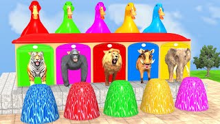 Long Slide Game With Cow Elephant Gorilla Hippopotamus Tiger 3d Animal Game Funny 3d Animals screenshot 3