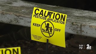 DPW puts down rodent killer, cleans up garbage in Mcelderry Park