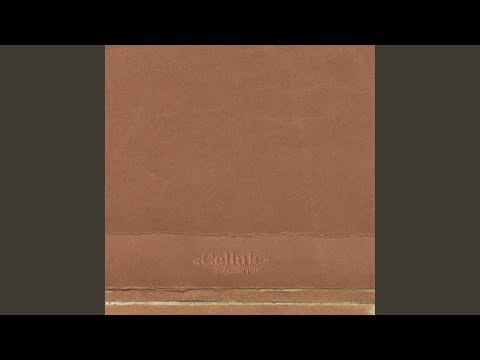 Polymorphie — OW1