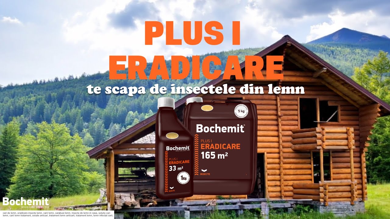 Insectele iti distrug casa! - Scapa de ele cu solutia eradicare insecte Bochemit Plus I