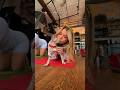 Kitten yoga is CRAZY