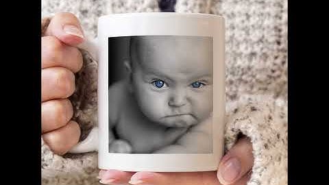 Photoshop Elements 2019: Turn Photos into LOLs