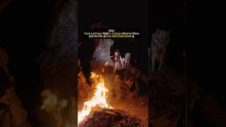 #photographer #travel #traveling #travelphotography #trending #viral #firephotography #wolf