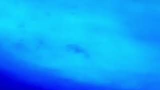 Righteous finding Nemo