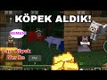 KONSEYDEN KÖPEK ALDIK! MİNECRAFT BİR HIRKIZIN HİKAYESİ 7.BÖLÜM #hırkızınhikayesi