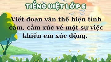 Viết đoạn văn thể hiện tình cảm, cảm xúc về một sự việc khiến em xúc động - Lớp 5