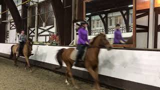 🐎Масти лошадей. 🧐В названиях мастей лошадей есть свои тонкости. 🐎Масти лошадей. 🧐В названиях мастей лошадей есть свои тонкости.