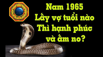 Nam Ất Tỵ 1965 lấy vợ tuổi nào thì Vợ chồng sống ổn định, hạnh phúc và ấm no?