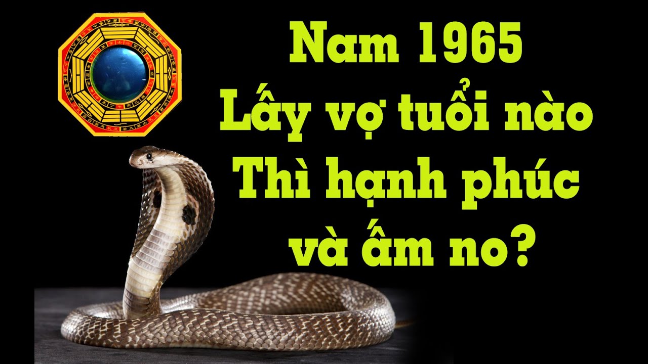 Nam Ất Tỵ 1965 lấy vợ tuổi nào thì Vợ chồng sống ổn định, hạnh phúc và ấm no?