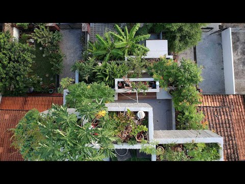 Video: Planter Box House Fra Formzero Er Et Konkret Hjem Dækket Af Planter