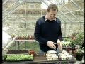 Geoff Hamilton & Ann Swithinbank's gardening tips-1980s