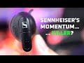 Momentum KILLER? 😲 Sennheiser Conversation Clear Plus Review